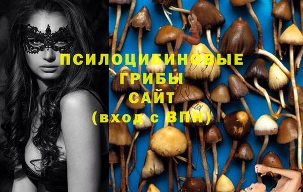 героин Алзамай