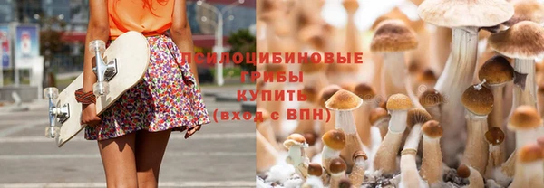 гидропоника Абинск