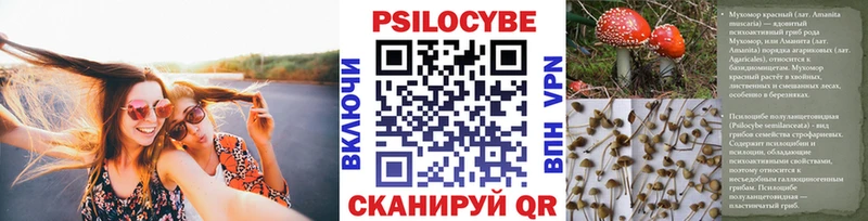 Галлюциногенные грибы Psilocybe  купить закладку  Харовск 